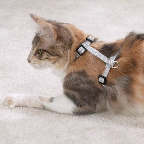 East Side Collection Glitz Cat Harness White