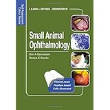 small animal ophthalmology self assessment color review veterinary self assessment color review series