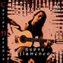 Gypsy Flamenco