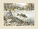 4 Art Prints Fly Fishing Posters Flies Bass Trout Decor