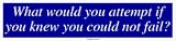 What would you attempt if you knew you could not fail? Bumper Sticker