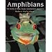 Items for Friends of Frogs