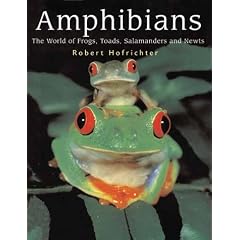Amphibians: The World of Frogs, Toads, Salamanders and Newts