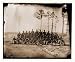 Civil War Photo (M): Petersburg Virginia. Company C 1st Massachusetts Cavalry at Army of the Potomac hea