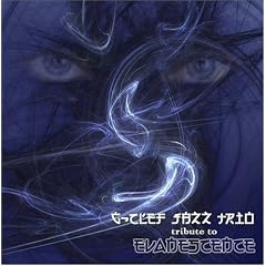 Tribute to Evanescence