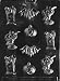 ASSORTED WITH BAT Halloween Candy Mold Chocolate