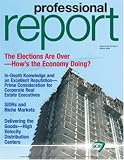 Professional Report