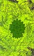 A Wind Across The Century: A Gay Romance Novel