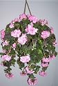 Large Silk Geranium Hanging Basket (pink)