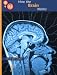 Book How the Brain Works