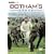 Botham's Ashes - The Miracle Of Headingley 81 [1981] [DVD]