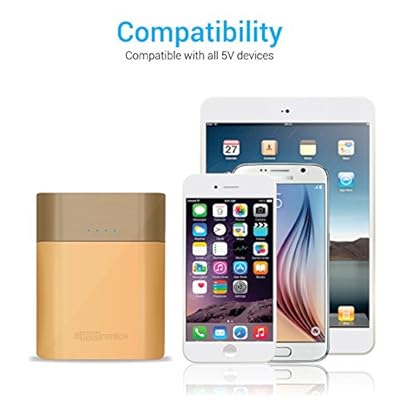 Portronics Velocity 13400 mAh Power Bank-Golden