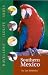 Books : Southern Mexico (Traveller's Wildlife Guide)