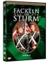 Fackeln im Sturm - Buch 3 [2 DVDs]
