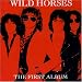 The First Album