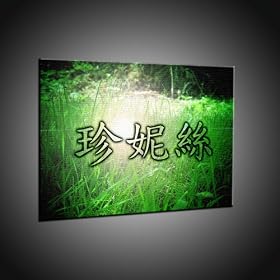 Les caract�res chinois Janice l`art d`imprimer sur la toile in 60x80 cm