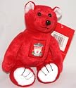 OFFICIAL LIVERPOOL FC CRESTED BEANIE BEAR TOY KOP