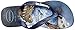 Havaianas Kids Flip Flop Sandals, Jurassic World, Indominus Rex, (Toddler/Little Kid)