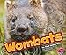 Wombats (Pebble Plus; Australian Animals)