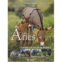 Anes (Nos)