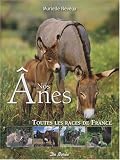 Anes (Nos)