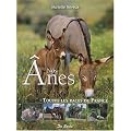 Anes (Nos)