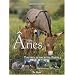 Anes (Nos)