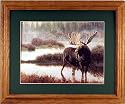 Moose Wildlife River Trees Framed Print Picture