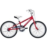 09CKm LGS-J20 bh(RED) 230mm(C-T)
