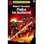 Falke im Aufwind
