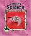 Book Jumping Spiders (Animal Kingdom)