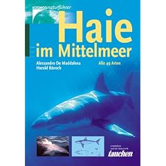 Haie im Mittelmeer: Alle 49 Arten