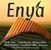 Musik (Pop) : Perfect Panpipes Play