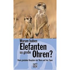 Warum haben Elefanten so gro�e Ohren? Dem genialen Bauplan der Tiere auf der Spur