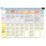 Foundation Stage Profile Chart (Curriculum Charts)