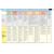 Foundation Stage Profile Chart (Curriculum Charts)