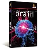 The Brain