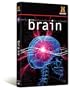 The Brain