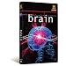 Brain