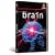 The Brain