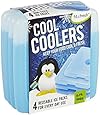 Fit & Fresh Cool Coolers Slim Lunch Ice Packs - Set of 4