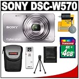 Sony Cyber-Shot DSC-W570 Digital Camera (Silver) with 4GB Card + Case + Acc ....