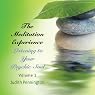 The Meditation Experience: Listening to Your Psychic Soul, Vol. 2