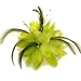 Acosta - Large Lime Green Lace, Bead & Feather Layered Lily - Fabric Corsage Flower Brooch / Elastic Band / Hair Accessory