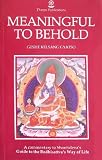 Meaningful to behold : a commentary to Shantideva's Guide to the Bodhisattva's way of life