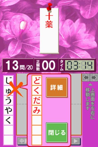財団法人日本漢字能力検定協会公認 漢検DS3デラックス