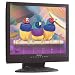 Viewsonic VG910B 19-Zoll TFT-Monitor (DVI; schwarz)