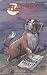 Harvey and the Beast of Bodmin (Harvey Books) by Terrance Dicks