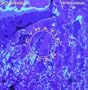 Cymatic Scan