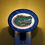 FLORIDA GATORS Team Logo ART-GLASS NIGHTLIGHT (4 1/2 x 4 3/4) by Memory Company